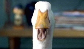 Aflac Duck