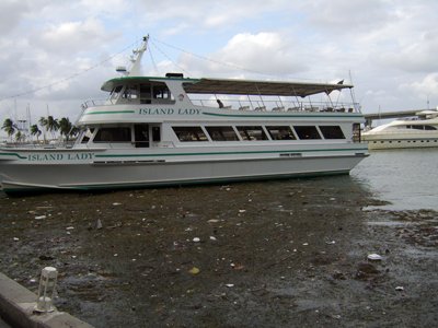 cruise