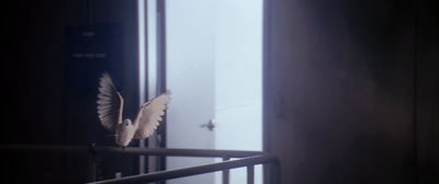 Paycheck John Woo Doves
