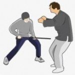 cane-fu-fighting