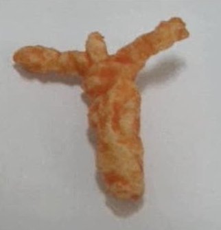 Cheesus
