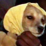 Indian Girl to Marry Dog
