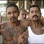 Los Angeles Ganglang Bus Tours