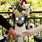 I-Fairy Conducts Wedding