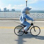 Fish rides bike on highway