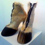 Hoof Shoes