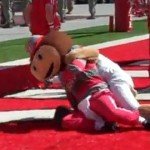 Rufus vs Brutus