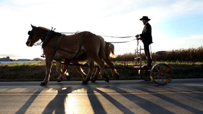 Amish