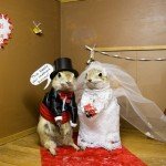 gopher-hole-museum-07 Gopher Museum - Married