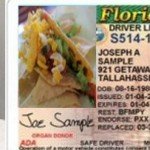 Matt Falkner - Taco ID