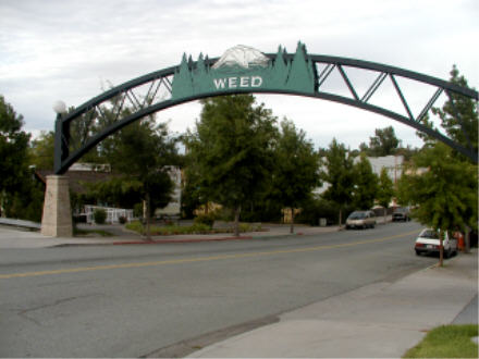 Weed Entry Arch