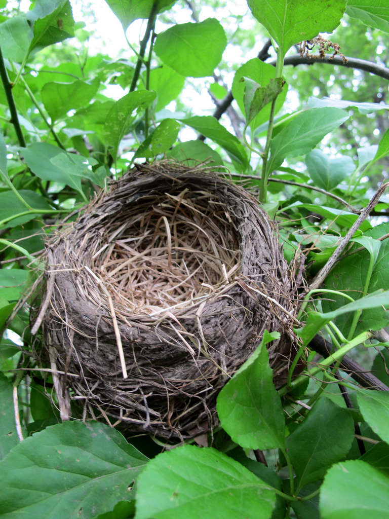 Wondering what to think about financially when the nest empties? This post has some helpful suggestions...