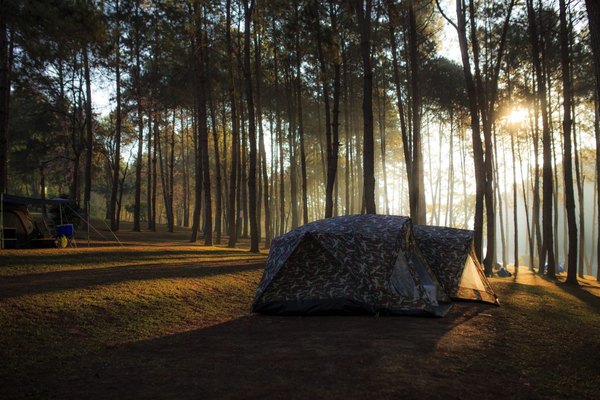 Top 10 Family-Friendly Camp Sites In Texas - Odd Culture