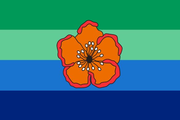 Obscure Flags