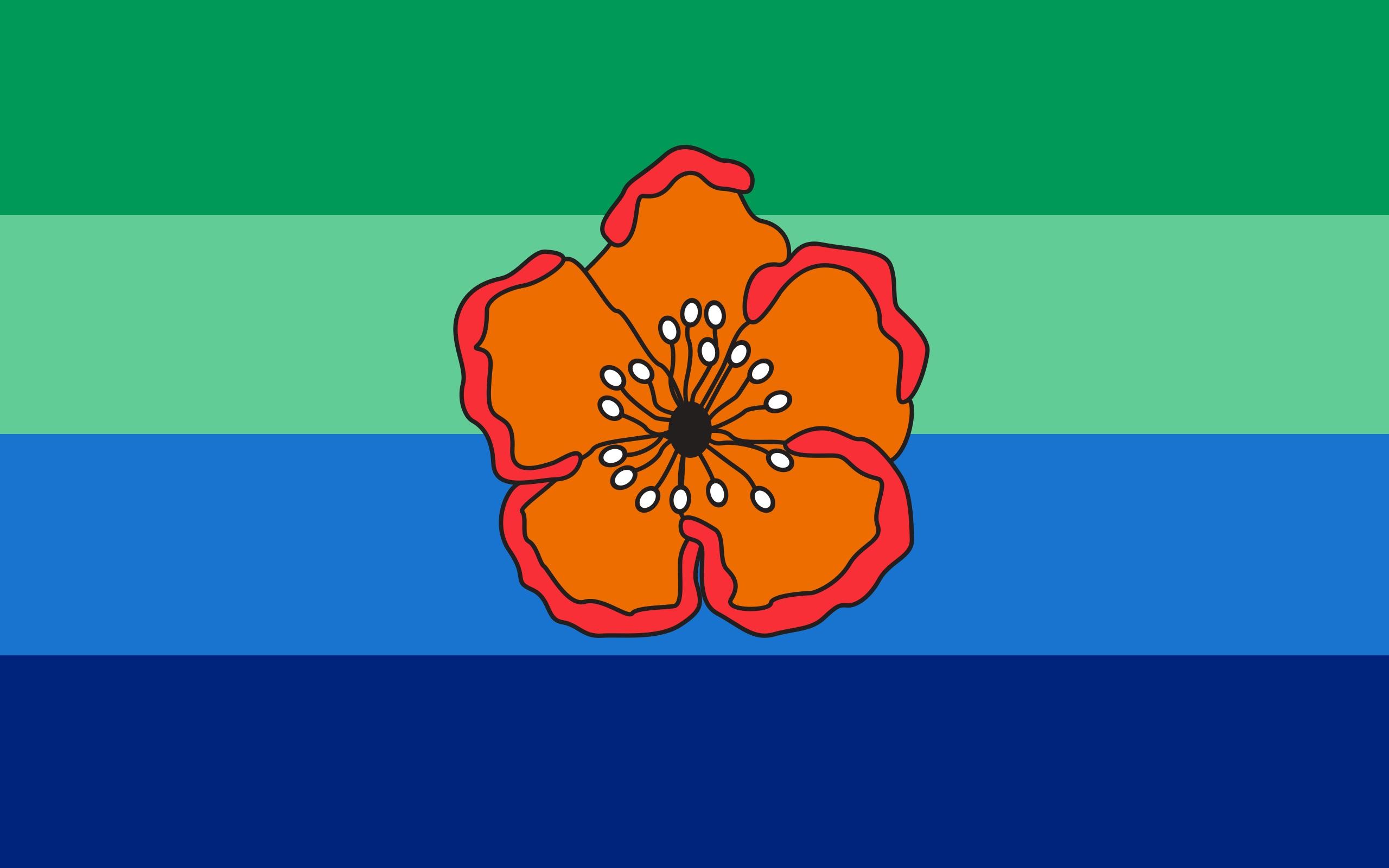Obscure Flags