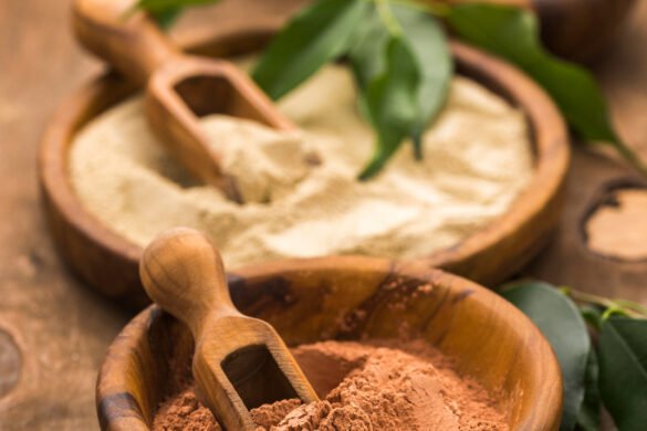 ancient civilizations