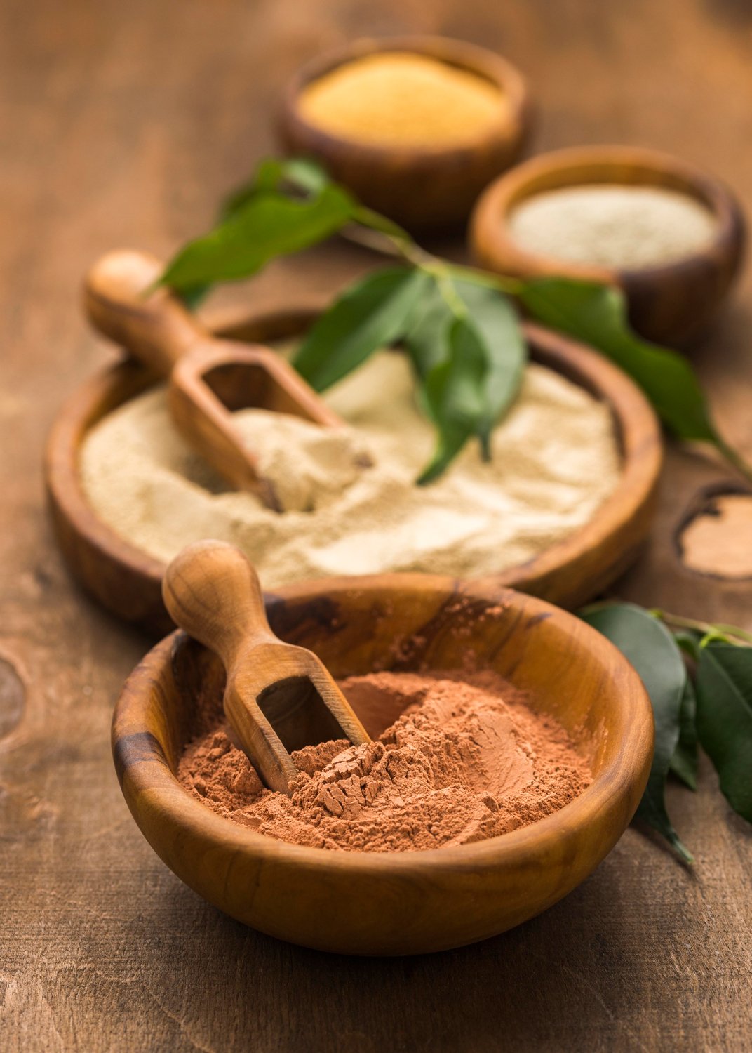 ancient civilizations